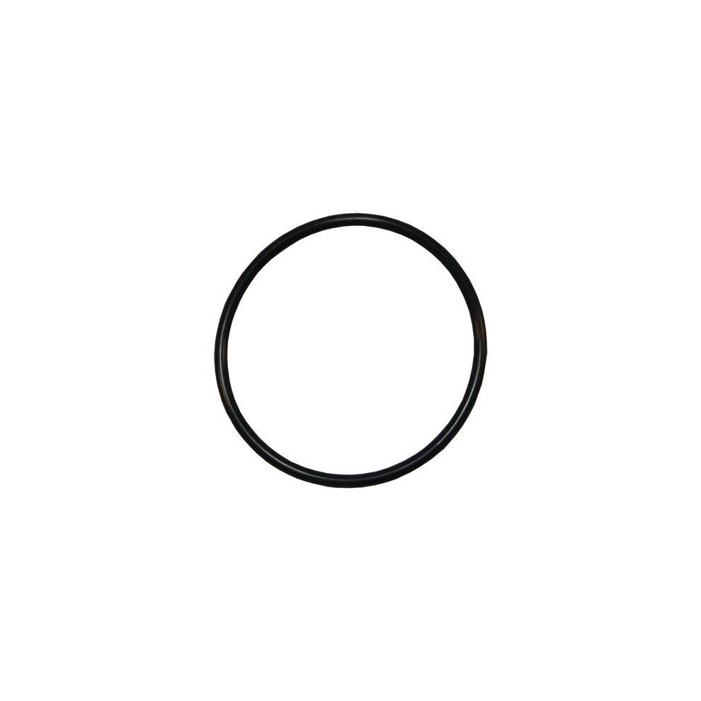 Plastica Sta-Rite Union O-Ring 5060228647901