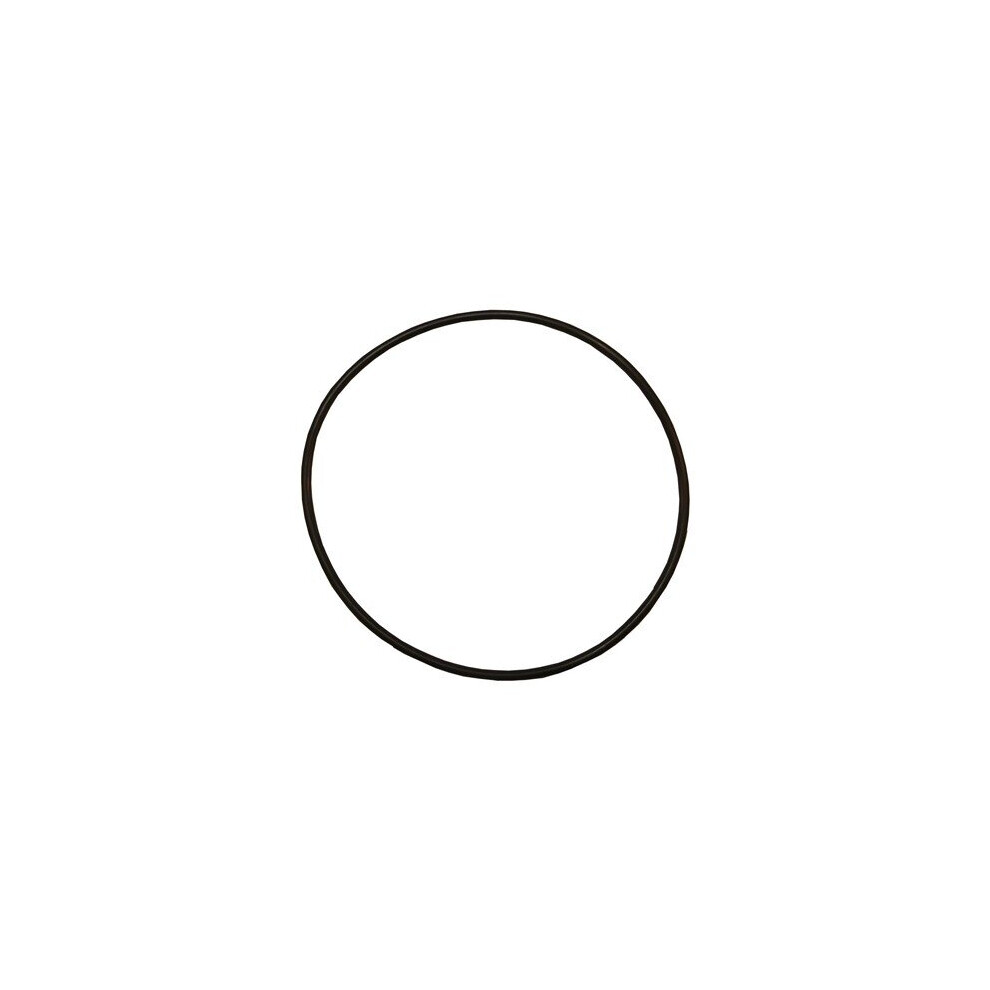 Plastica Sta-Rite Body O Ring 5P2r 5P4r 5P6r 5060228649257