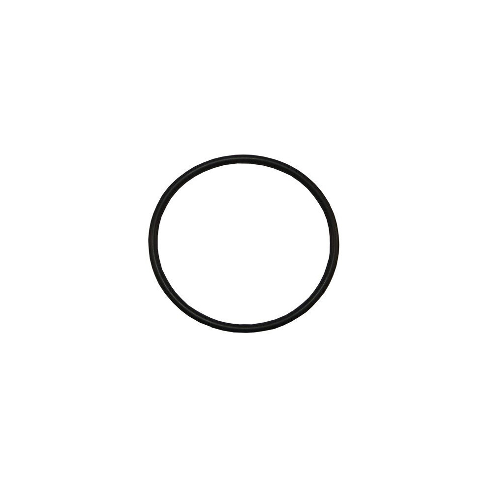 Plastica Sta Rite Onga Lid O-Ring 5060228649455