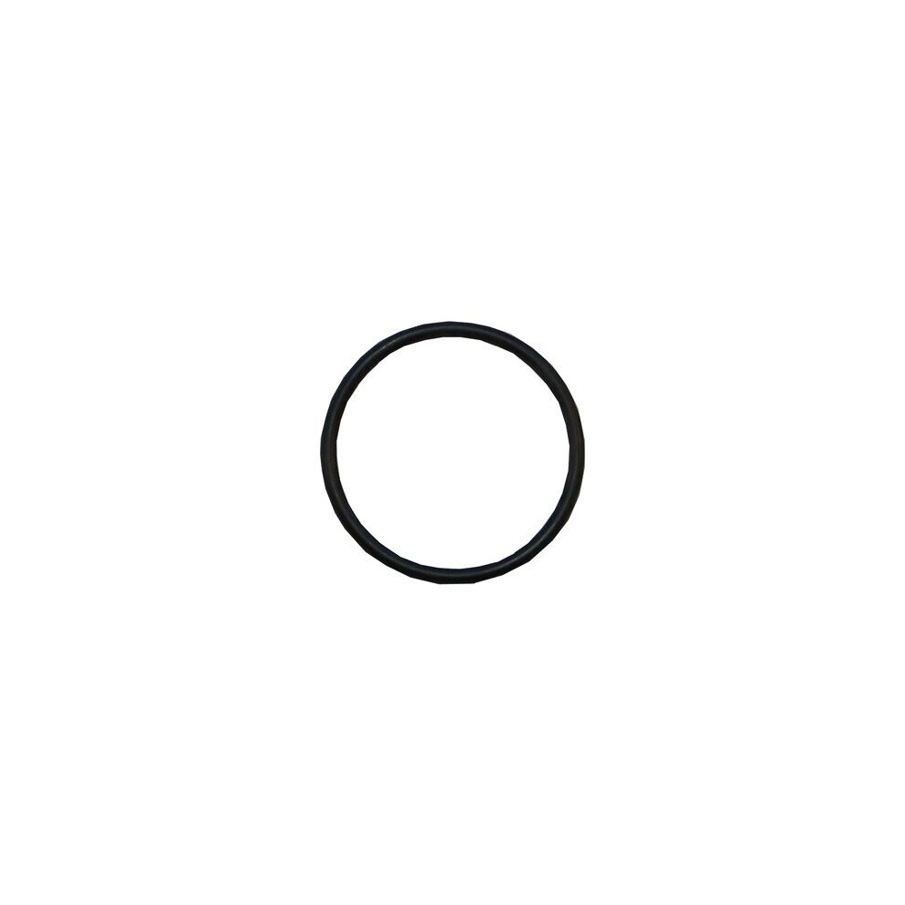 Plastica Sta-Rite Diffuser O-Ring 5P2r 5060228647239