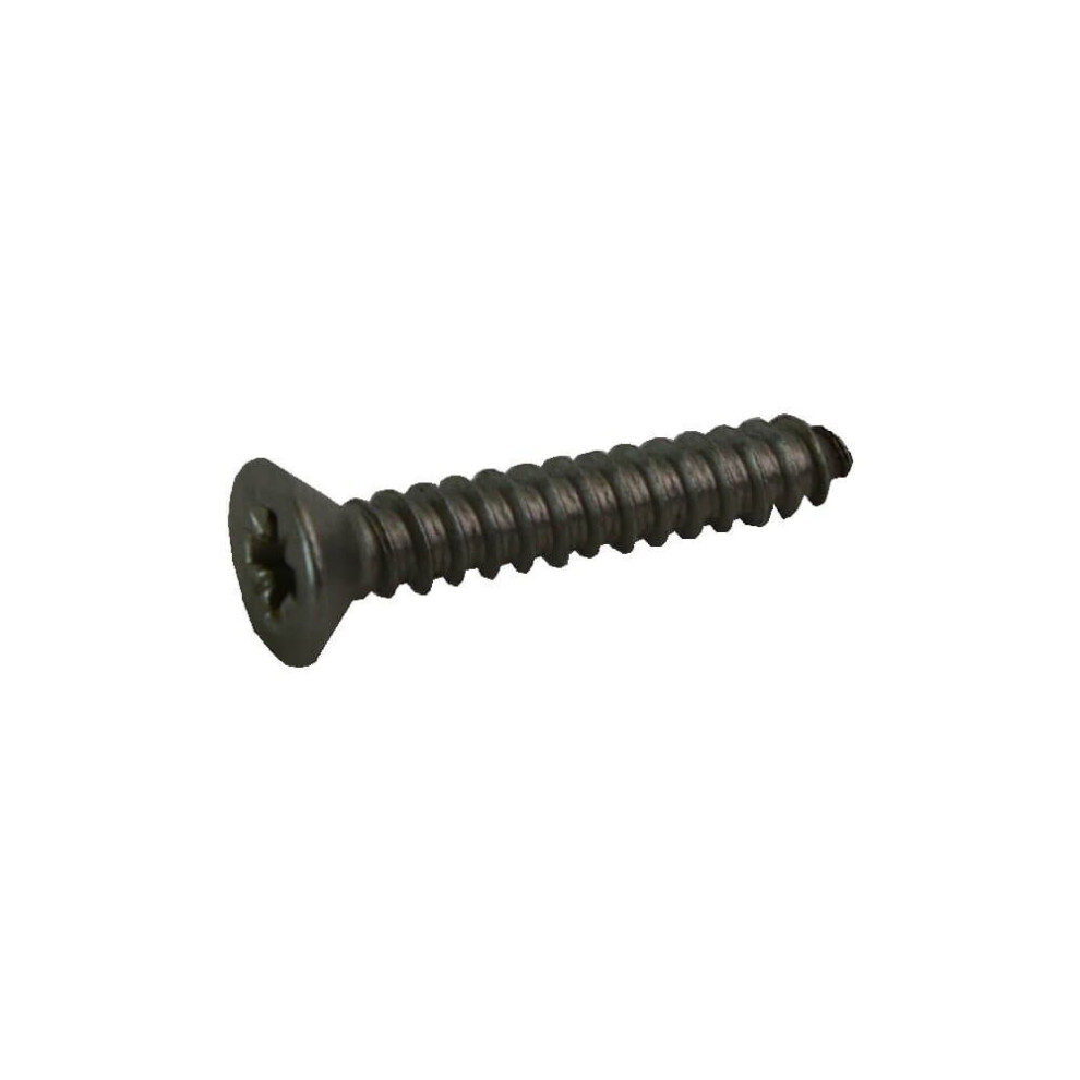 Plastica Screw No 8 X 1In Countersunk Self Tapping S/S A 5060228647000