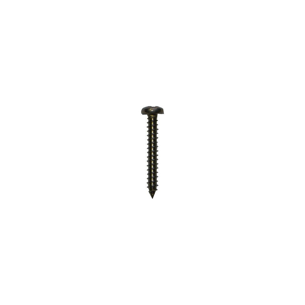 Plastica Screw No 6 X 1In Pan Head Pozi Self Tapping S/S A 5060228647017