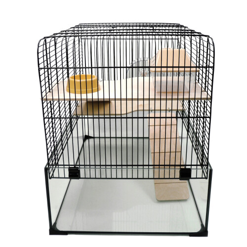Little-Friends Gerbils Dwarf Syrian Hamster Glass Cage Gerbilarium Small - The Savoy 2