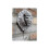 Single Lion Coat Hook | Resin & Metal | SILVER 2