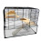 Little-Friends Gerbils Dwarf Syrian Hamster Glass Cage Gerbilarium Small - The Savoy 2