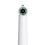 HD WiFi LED Light Intraoral Camera Borescope Waterproof Mirror 4