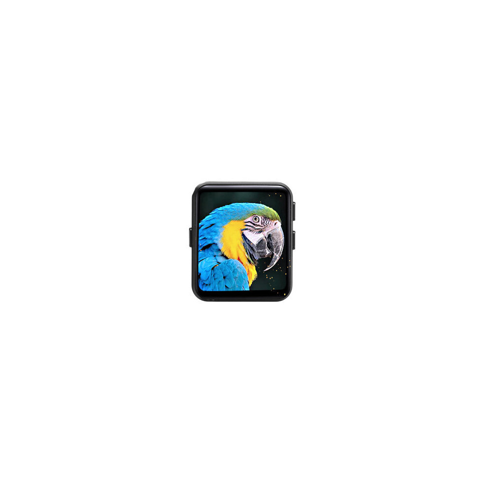 16Gb Bluetooth 5.0 Mp3 2.5D Ips Hd Full Srceen Lossless Music Player Audio Video Player Fm Radio Ebook Voice Recorder 4151093684052