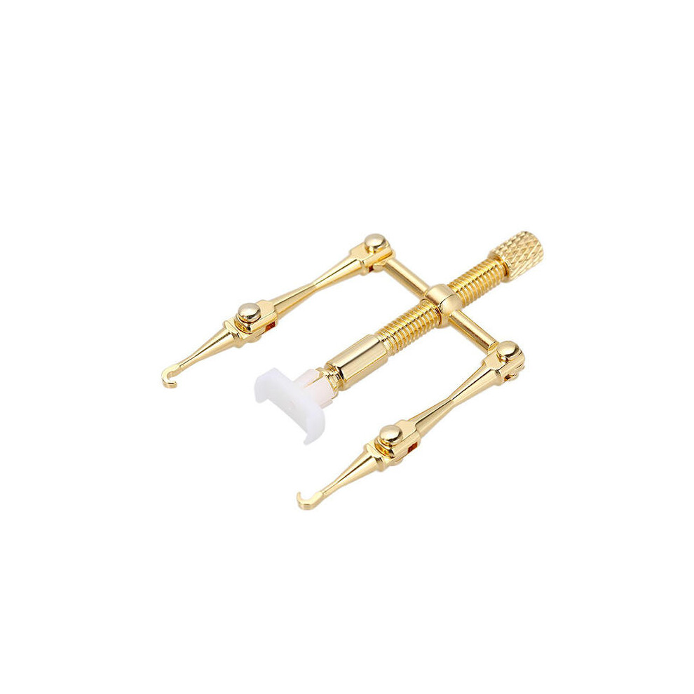 Gold Paronychia Correction Tool Ingrown Toenail Thick Nail Pedicure Manicure Tools