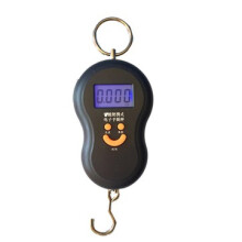 Pocket Portable Electronic Scale Load-bearing 40kg Mini Digital Hanging Luggage Scale Hook LCD Weight Weighing Scale Portable Weighing Tools