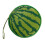 Watermelon Design 24 Disc CD DVD Carry Case Wallet Storage Holder Bag 1