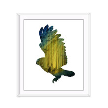 2  pcs Hand Painted Oil Paintings Simple Style-C Flying Owl Wall Art For Home Decoration Painting