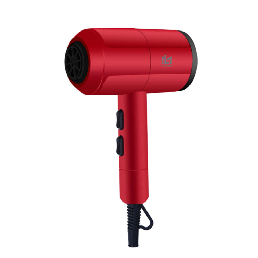 Professional Salon Electric Hair Dryer Hot & Cold Lonic Blow Fast Heating