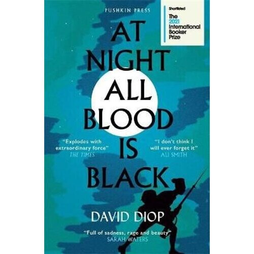 At Night All Blood is Black | Paperback