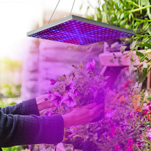 2000W 225 LED Grow Light Hydroponic Kits Growing Lamp Plant Veg Flower