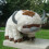 The Last Airbender Ressource 20" Appa Plüschpuppe 6