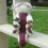 The Last Airbender Ressource 20" Appa Plüschpuppe 10