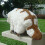 The Last Airbender Ressource 20" Appa Plüschpuppe 9