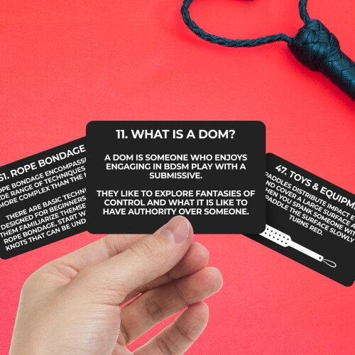 Gift Republic S&M - A Beginners Guide 1