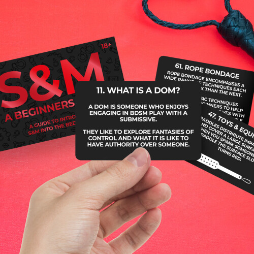 Gift Republic S&M - A Beginners Guide 2