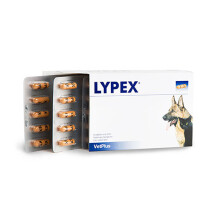 Lypex Pancreatic Enzyme Capsules for Dogs (Pack of 60)