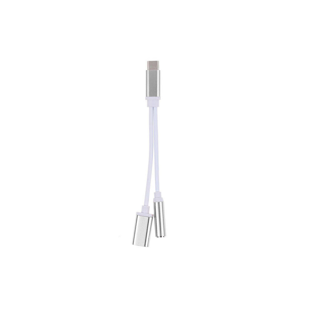2Pcs 2 In 1 Type-C Headphone 3.5Mm Jack Adapter Audio Cable For Samsung Xiaomi Huawei Letv Color Silver