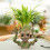 (A) Baby Groot flower pot / pen holder desktop decor 7