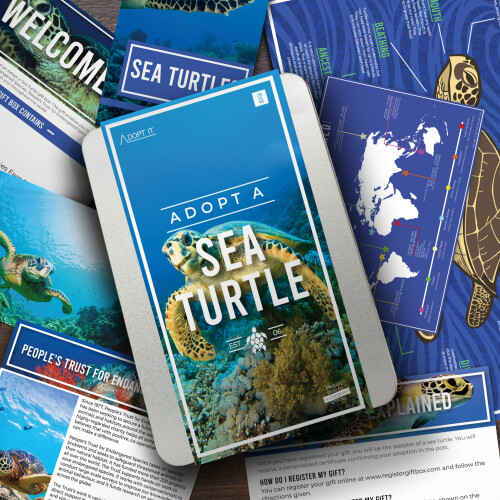 Gift Republic Adopt A Sea Turtle Personalised Gift Tin 1