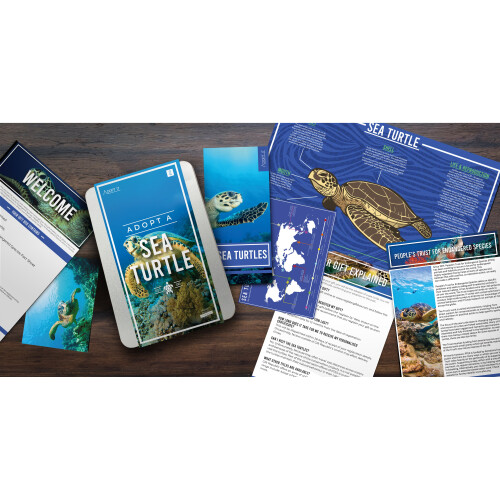 Gift Republic Adopt A Sea Turtle Personalised Gift Tin 2