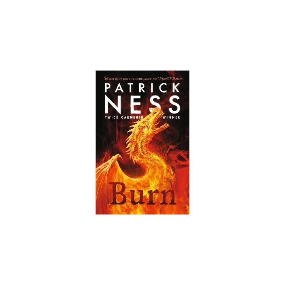 Burn: A highly original, page-turning YA fantasy featuring prejudice, revenge a - Image 12