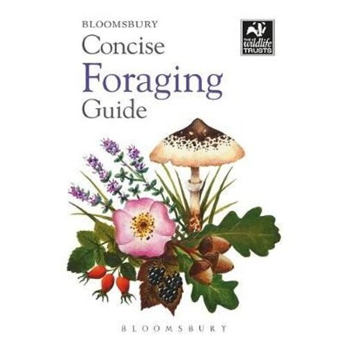 Concise Foraging Guide | Paperback - Book