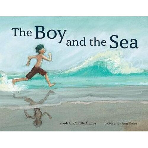 The Boy and the Sea | Hardback