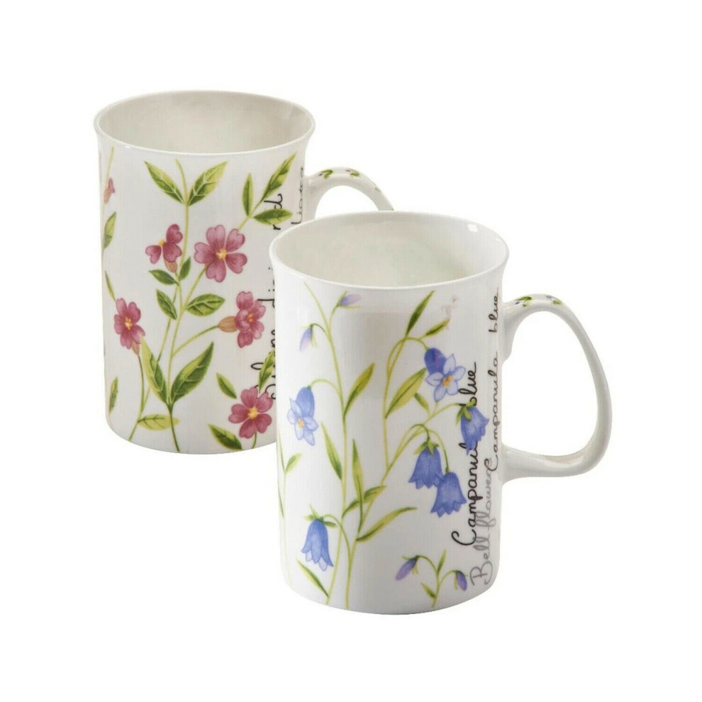 Price & Kensington Assorted Botanical Bone China Mug Single 300ml