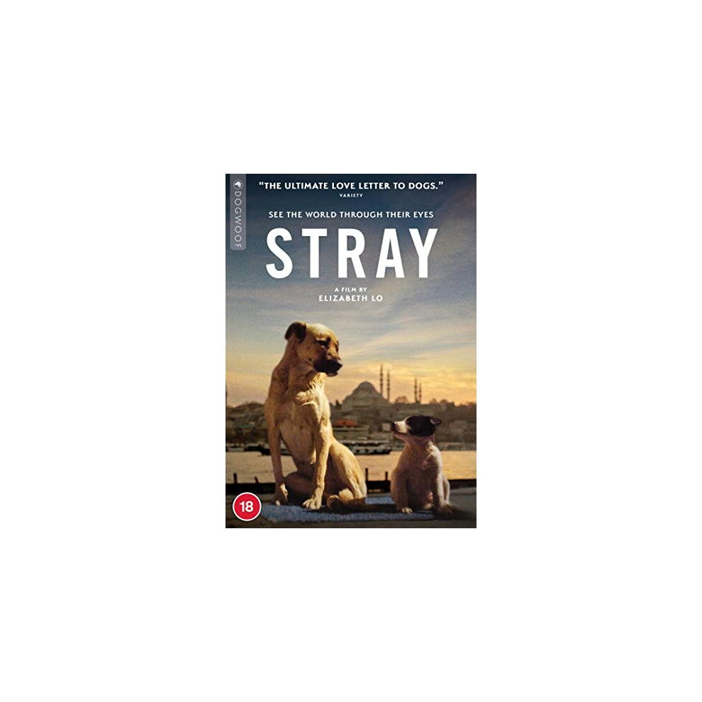 Stray (DVD)