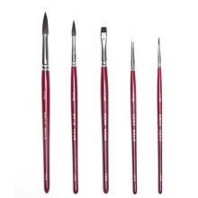 Watercolor brush set 5 brushes with brush bag, paint brush set.Watercolor painting. ColoringHighlight Details
