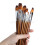 13Pcs Artist Paint Brush Set Nylon Hair Watercolor Oil Painting Acrylic Drawing Drop Shipping 5