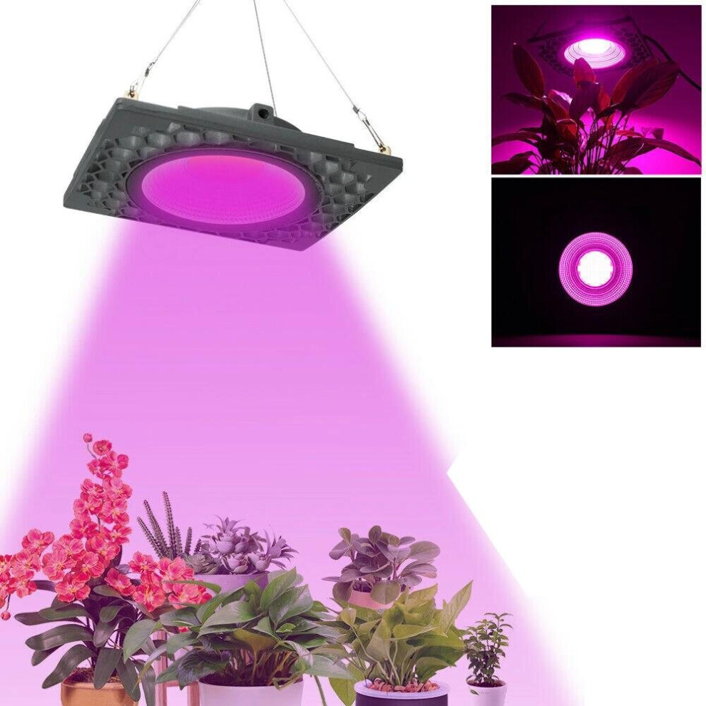 (110V) 1000W Full Spectrum LED Grow Veg Seed Light for Greenhouse Plant