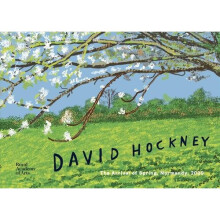 David Hockney | Hardback
