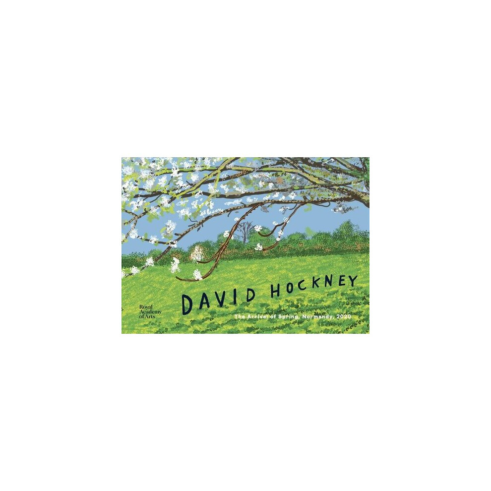 David Hockney | Hardback
