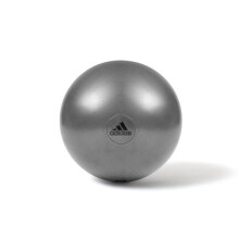 (55cm) Adidas Exercise Ball Gym Swiss Fitness Workout with Pump