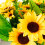 7 rami 13 teste Bouquet di girasoli artificiali 7