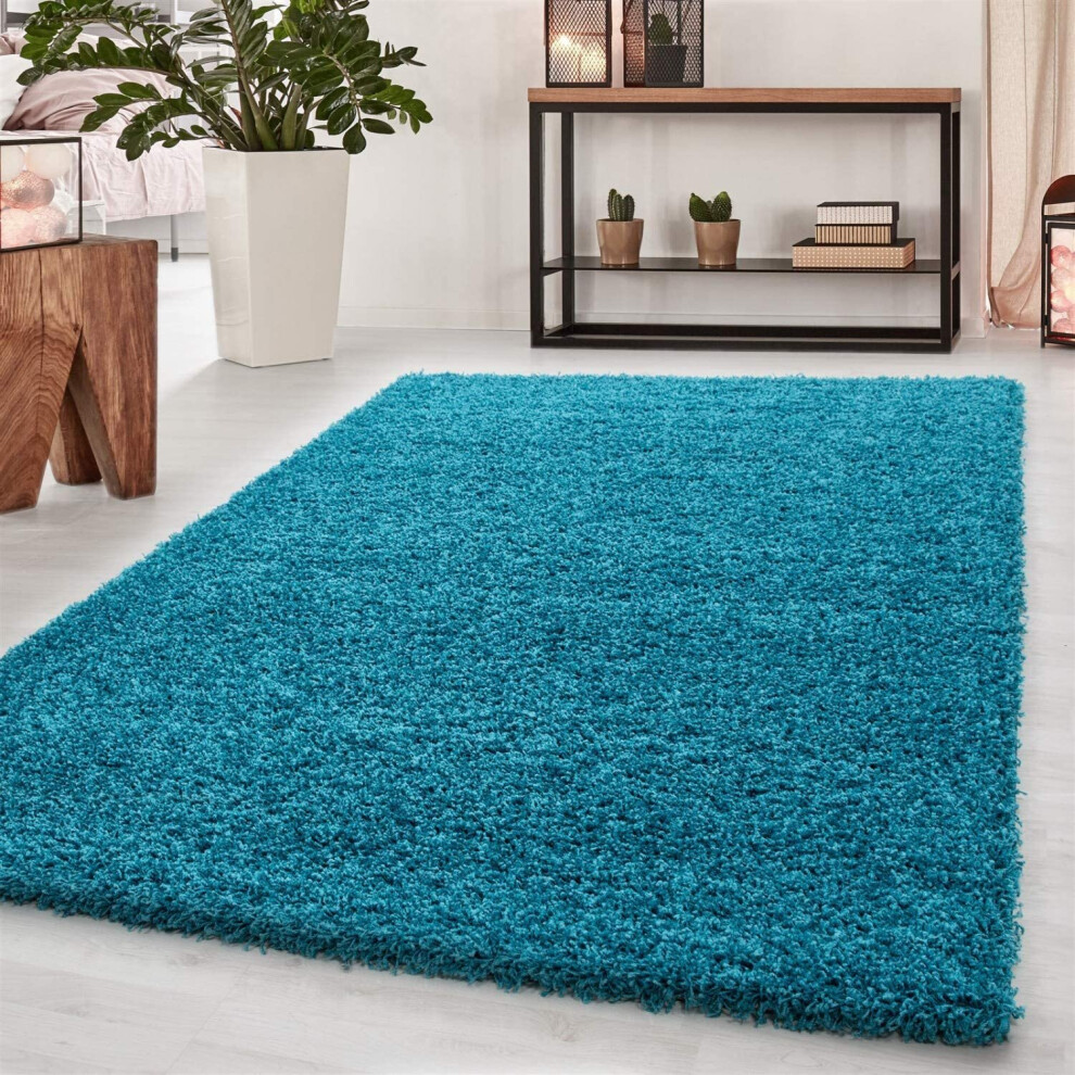 (Teal Blue) Abaseen Shaggy Modern Multicolor Rug(160 x 230cm)