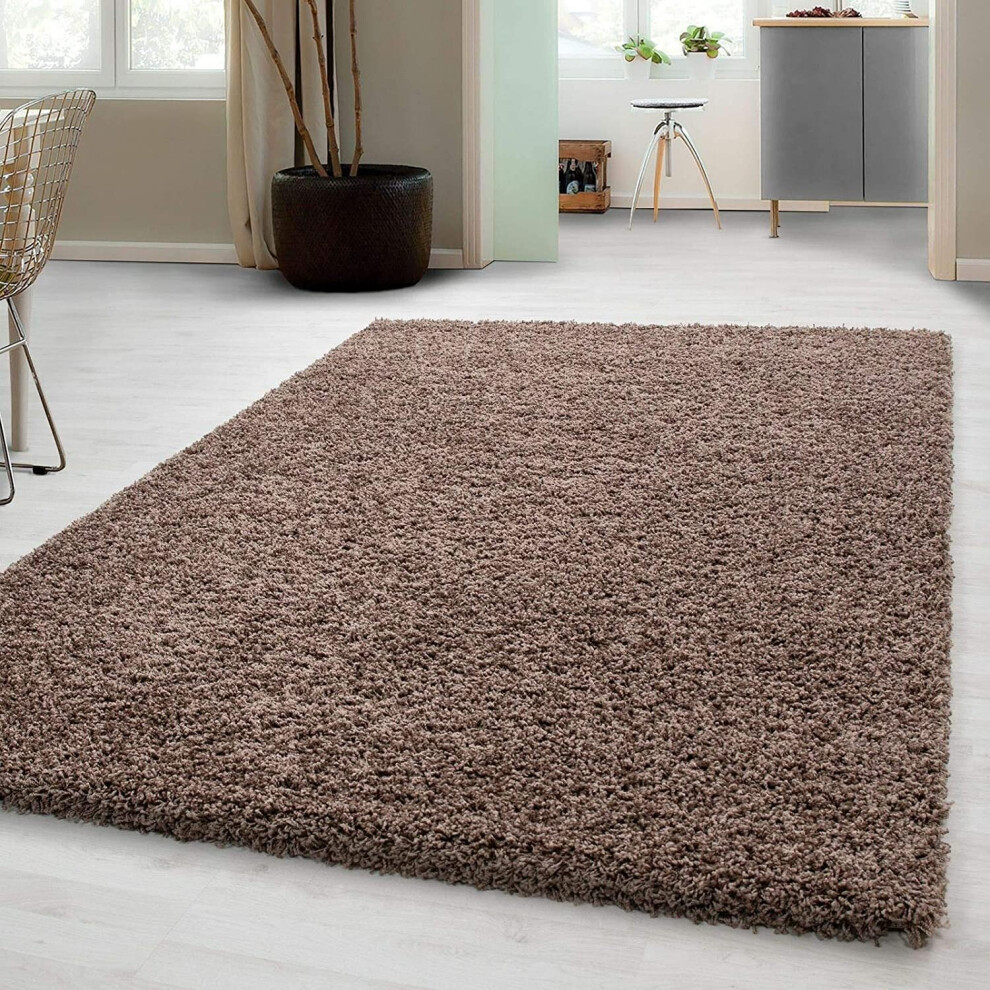 (Dark Beige, 160cm x 230cm) Abaseen Soft Fluffy Rug for Living Room 3 Sizes