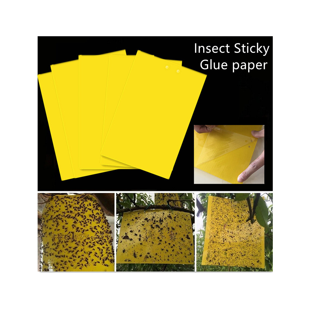 Zhike (50Pcs) Uk 20/50 X Sticky Glue Paper Insect Trap Catcher Killer Fly Aphids Wasp Yellow