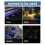 Ranpo (4Pcs, White+Blue) Solar Ground Lights 12 LED Disk Lights for Garden Lawn Pathway Walkway Deck Yard 12