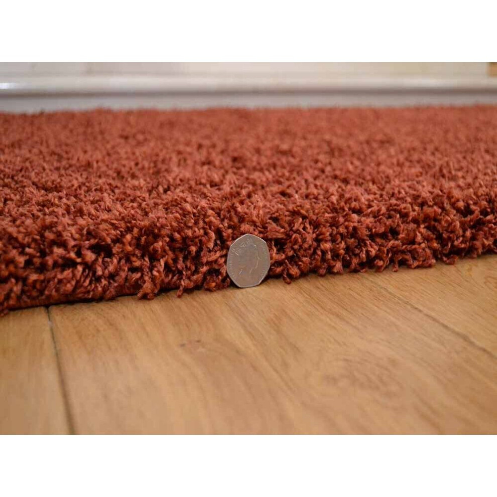 (120cm x 170cm) Abaseen Shaggy Rust Thick Luxurious Soft Rug