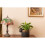 Hedgehog Plant Pot Hanger 10