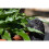 Hedgehog Plant Pot Hanger 8
