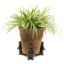 Grizzly Bear Plant Pot Feet - Set of 3