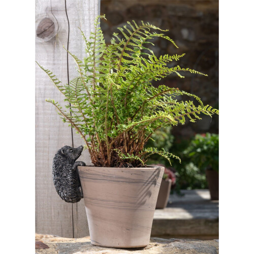 Hedgehog Plant Pot Hanger 2