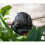 Hedgehog Plant Pot Hanger 4